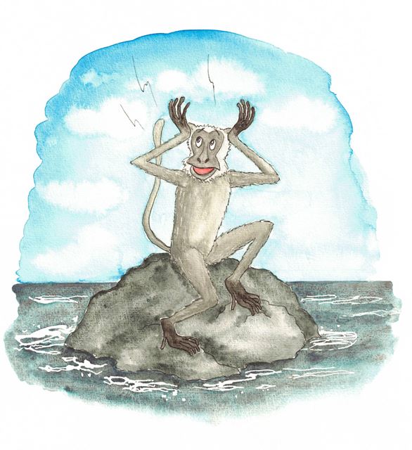 Monsi sitzt erschrocken auf einem Felsen im Meer